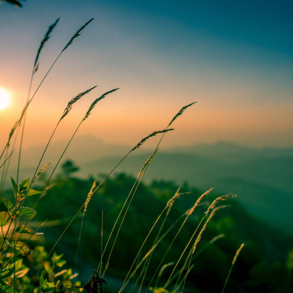 Houston Mindfulness Weekend